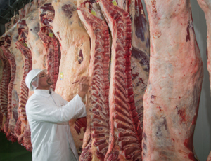 Alpenrind Salzburg Rindfleisch RInderhälften